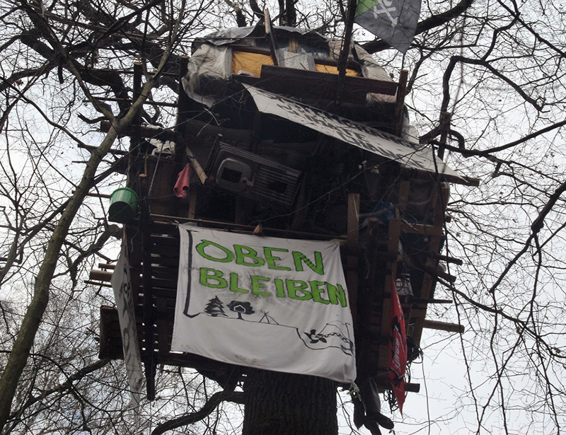 Frühstücksei Woche 38: Der Hambacher Forst