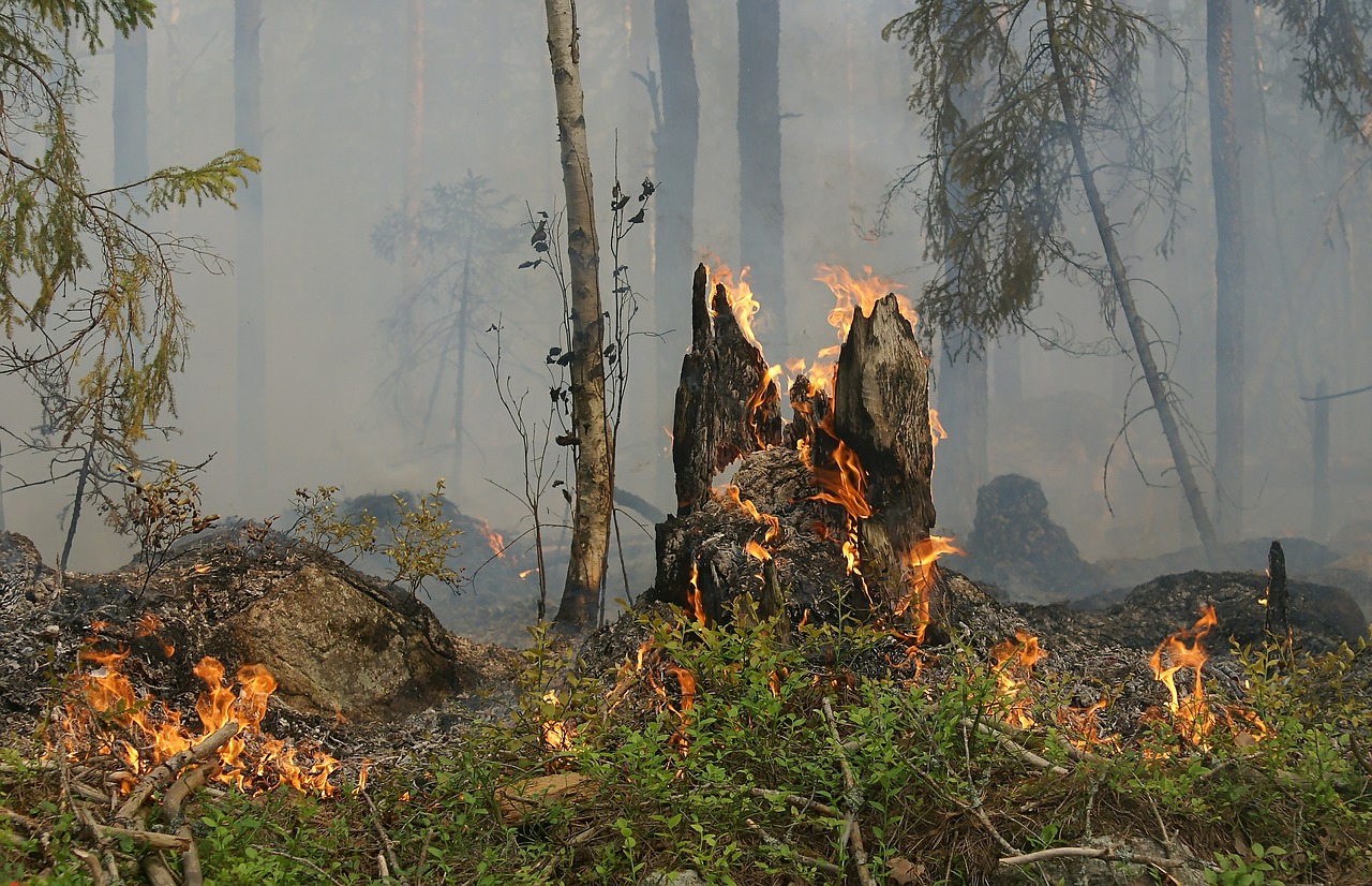 Frühstücksei #27: Brand in Brandenburg