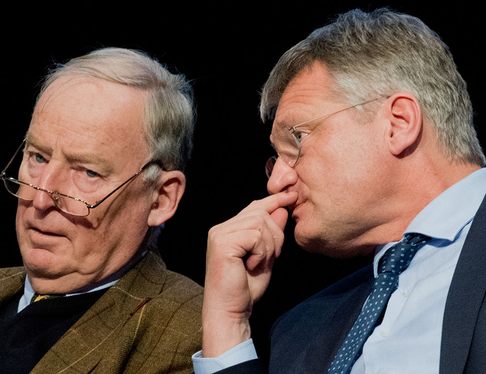 AfD-congres kiest Meuthen en Gauland als voorzitters