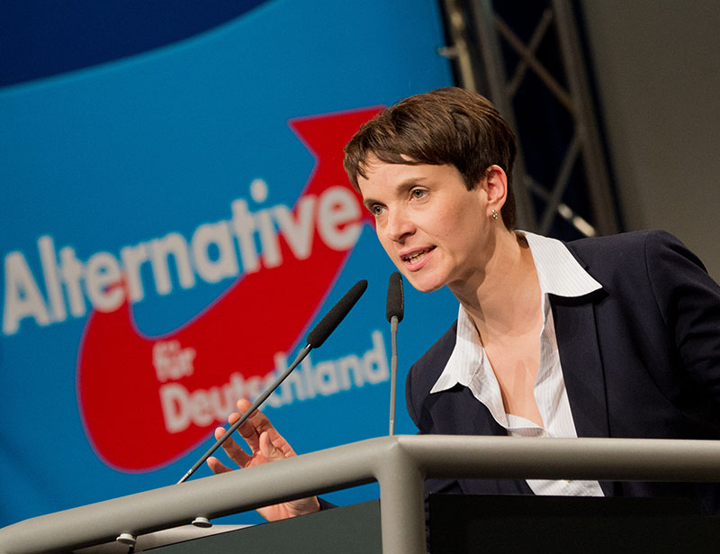 Frauke Petry. Afb: dpa/pict-all