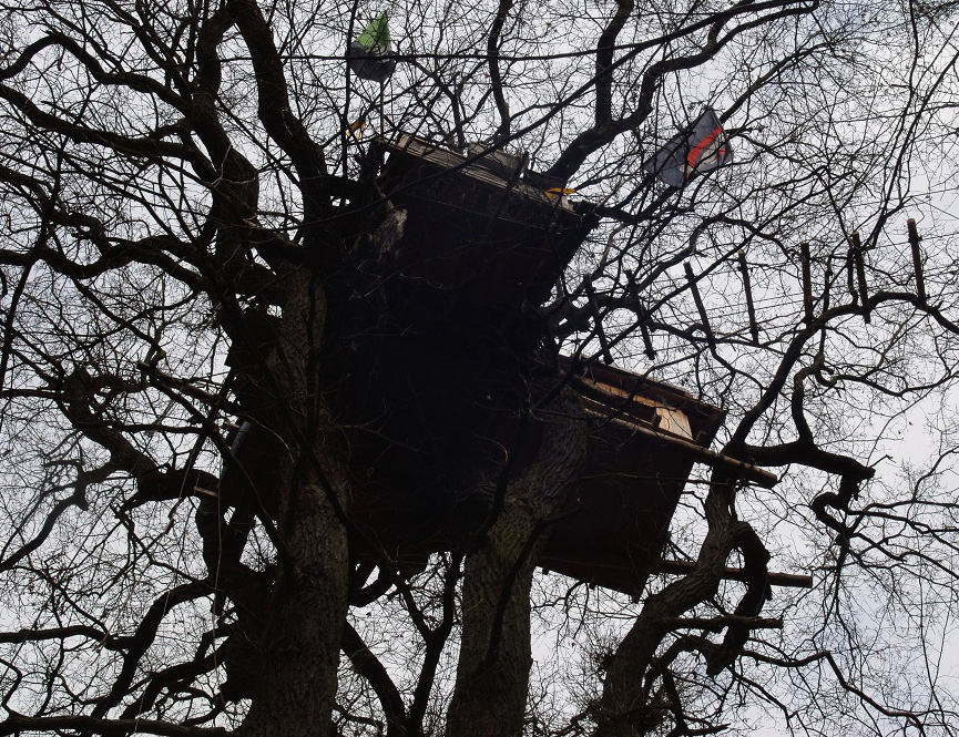 Boomhutten tegen de bruinkool