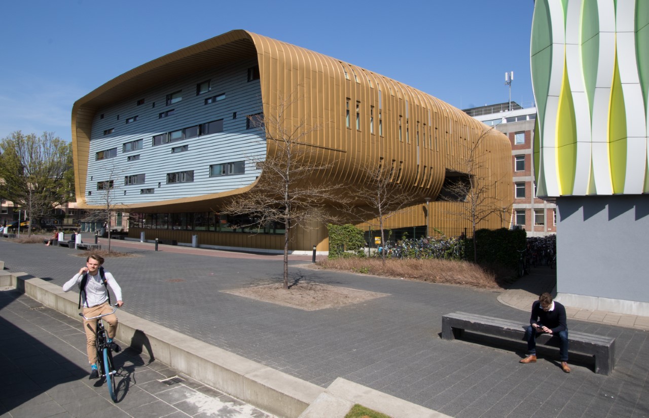 European Medical School: Huwelijk in het slop