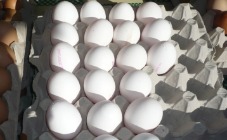 Duitse consumenten vrezen dioxine-eieren