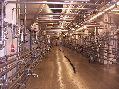 De Radeberger fabriek, waar Luuc het erg vond stinken. Afbeelding: DIA