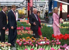 Rivalen in het voetbal, vrienden in de tulpen