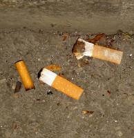 Een spoor van as en sigarettenpeuken in de Fraunhoferstraße. Foto: Carina de Jonge